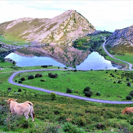 Vivienda Vacacional El Cuetu Del Sella Llames de Pría Εξωτερικό φωτογραφία